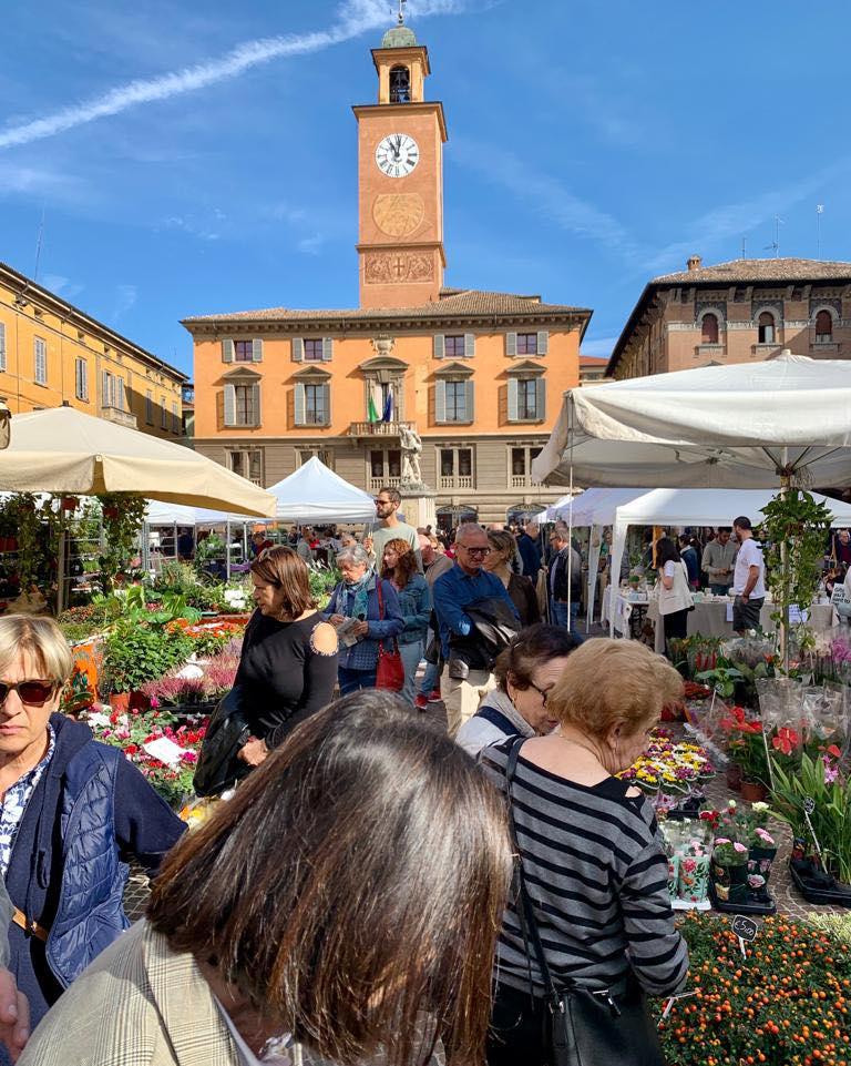 Reggio in Fiore: sabato e domenica la città sboccia con piante e fiori dell’autunno