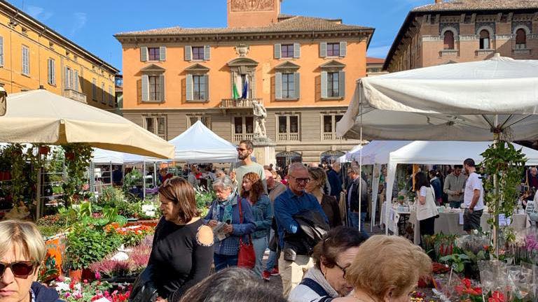 Reggio in Fiore: sabato e domenica la città sboccia con piante e fiori dell’autunno