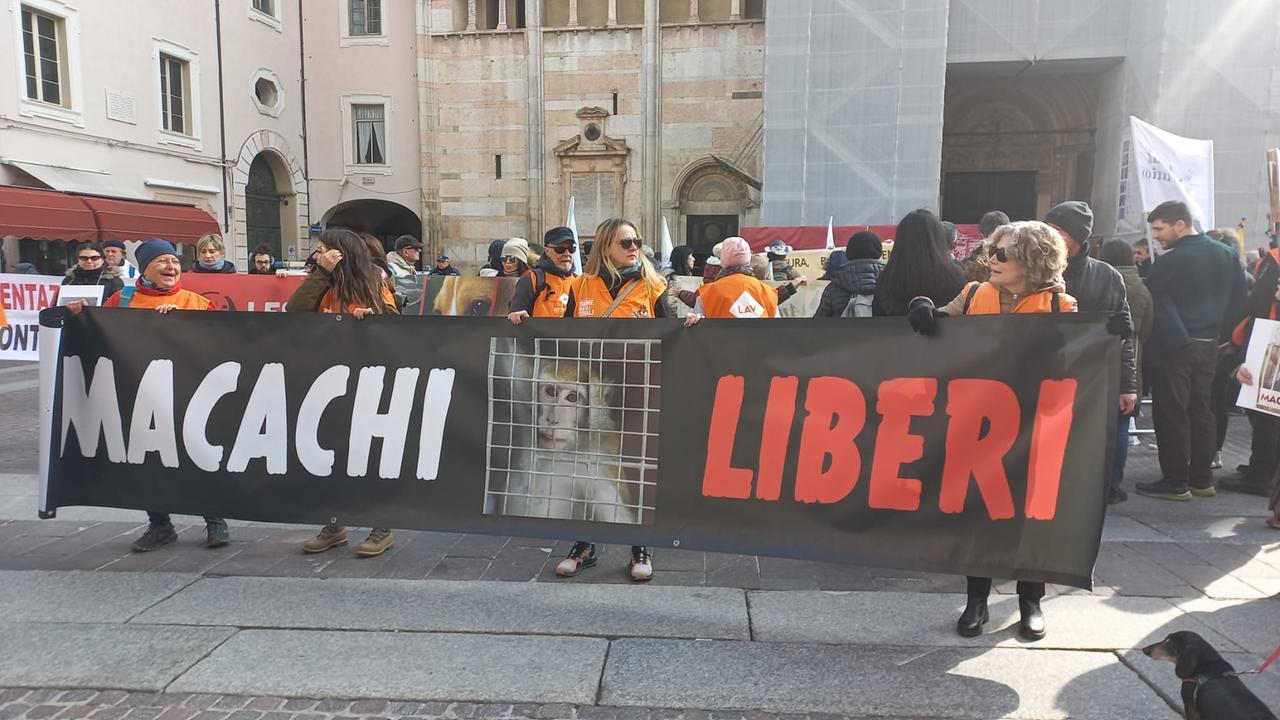 Macachi di Unife, la procura generale si oppone al sequestro