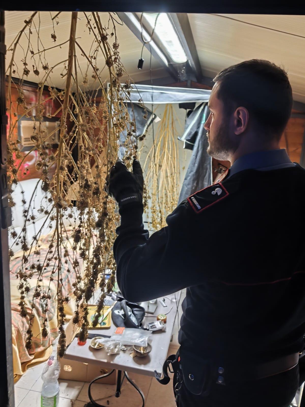 Lotta allo spaccio nella Piana lucchese: tre arresti e undici perquisizioni
