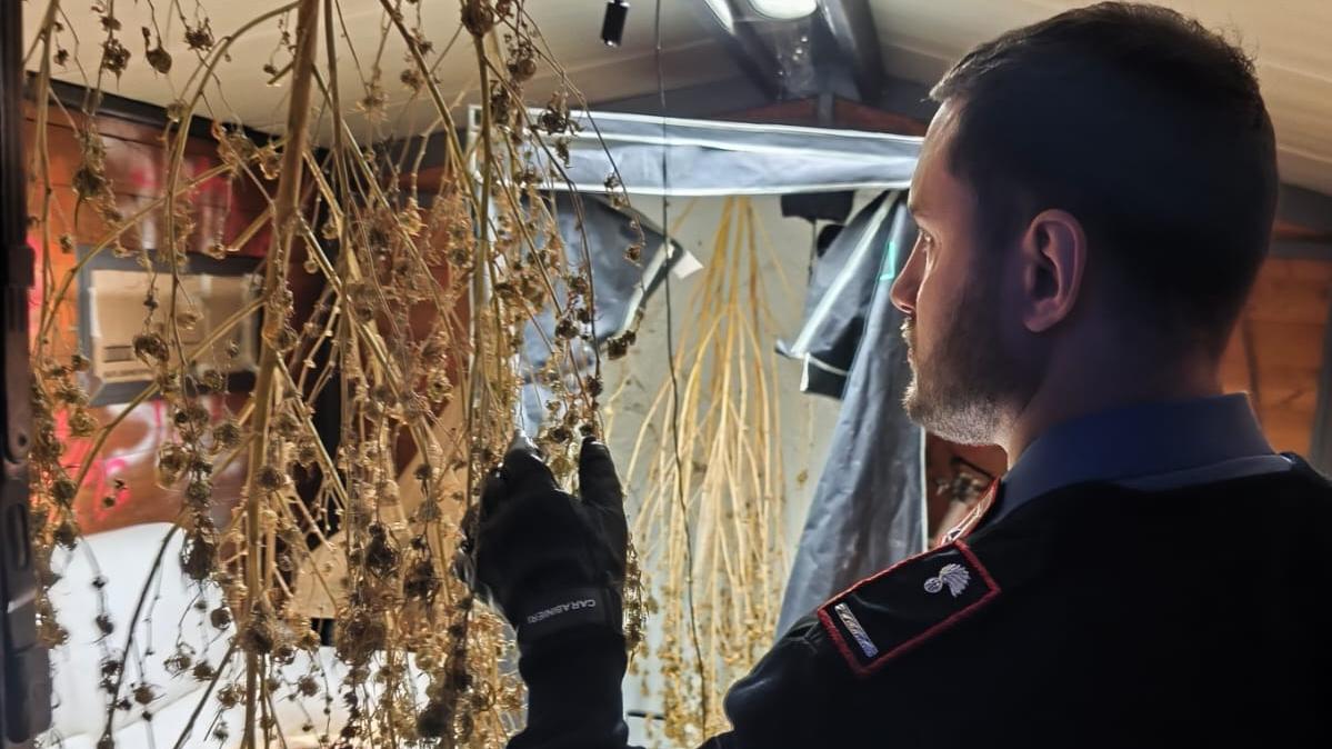 Lotta allo spaccio nella Piana lucchese: tre arresti e undici perquisizioni