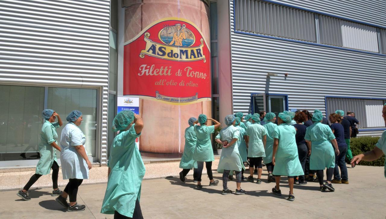 Olbia, cresce l’industria del tonno: Asdomar stabilizza 40 lavoratori