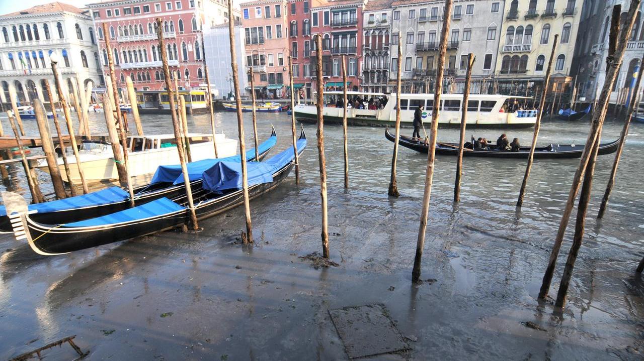 Si spoglia e si immerge nel Canal Grande durante la notte: trovato morto un 33enne