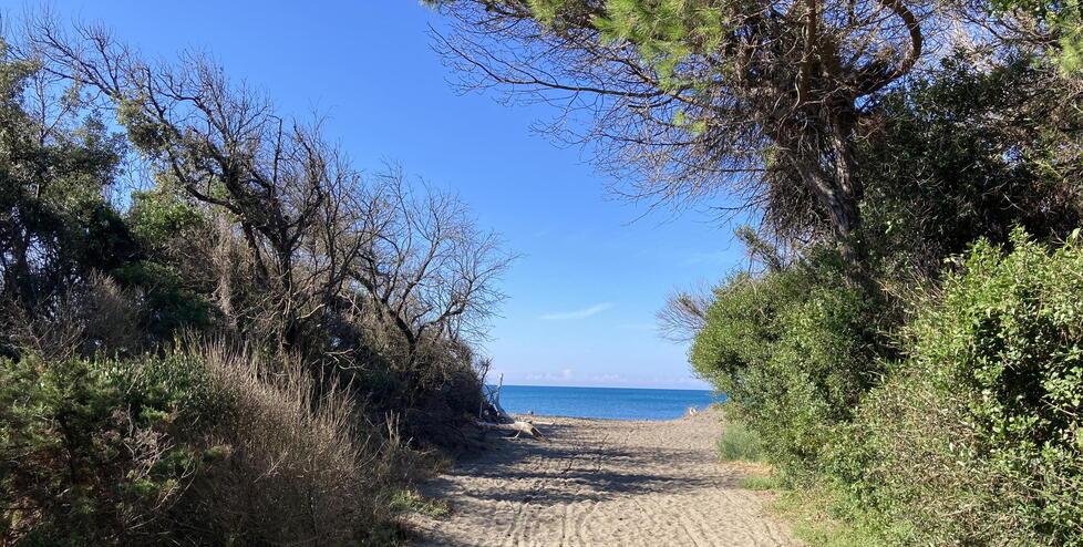 Cecina, è qui la spiaggia migliore per il turismo accessibile: «Mai vista un’area così attenta ai disabili»