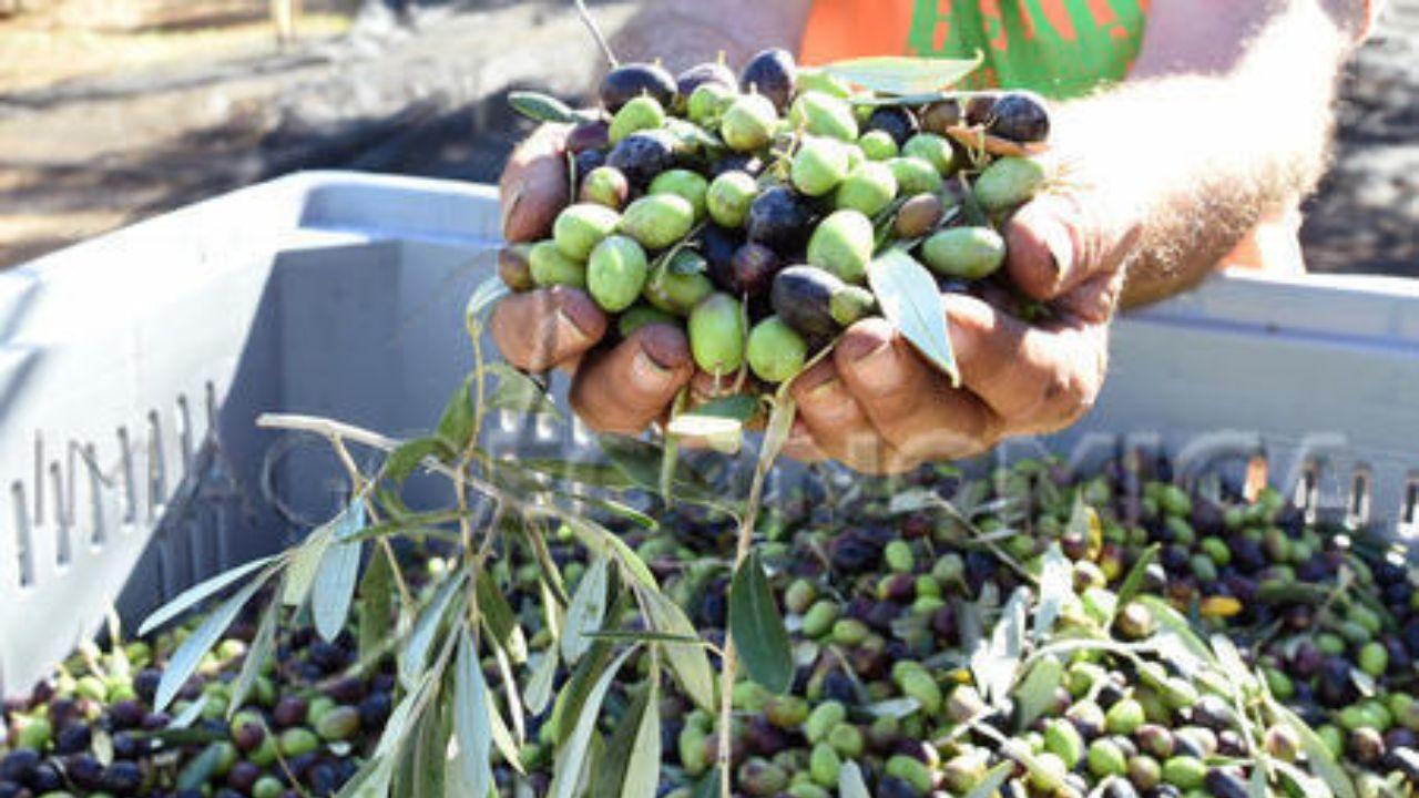 Il punto sull'annata degli addetti ai lavori