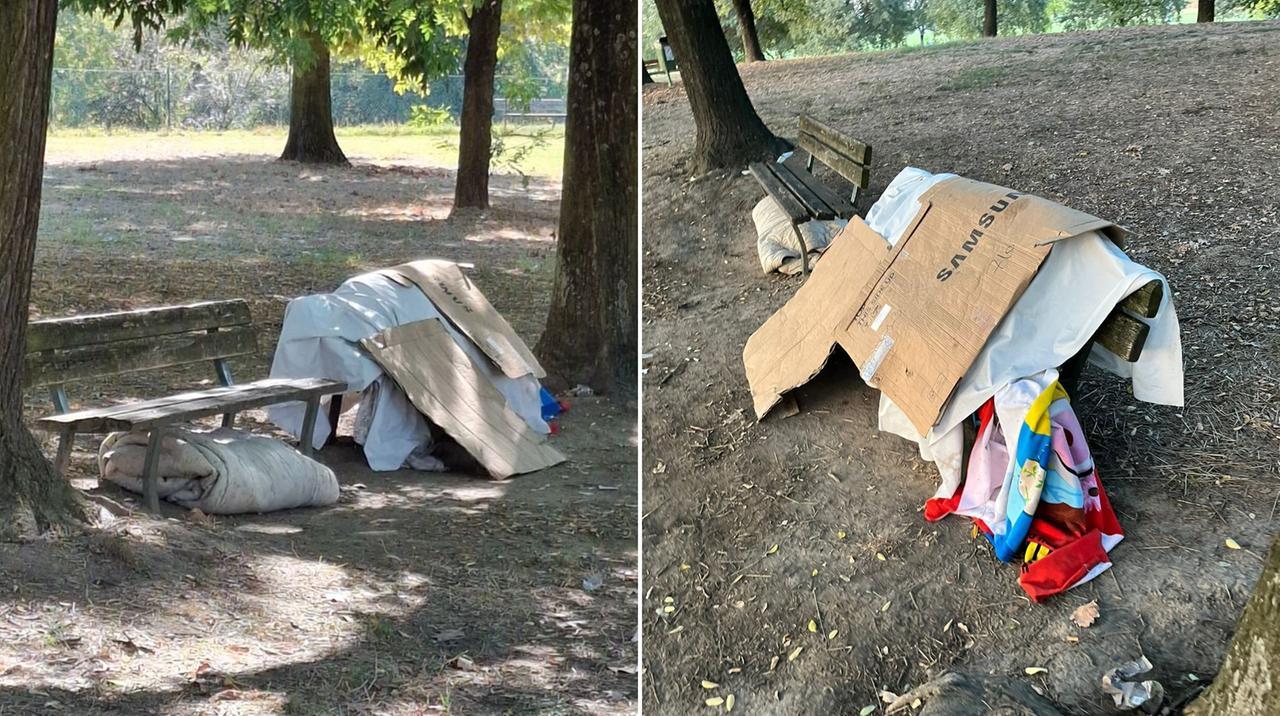 
	Il rifugio di cartoni di un senzatetto al parco Ferrari

