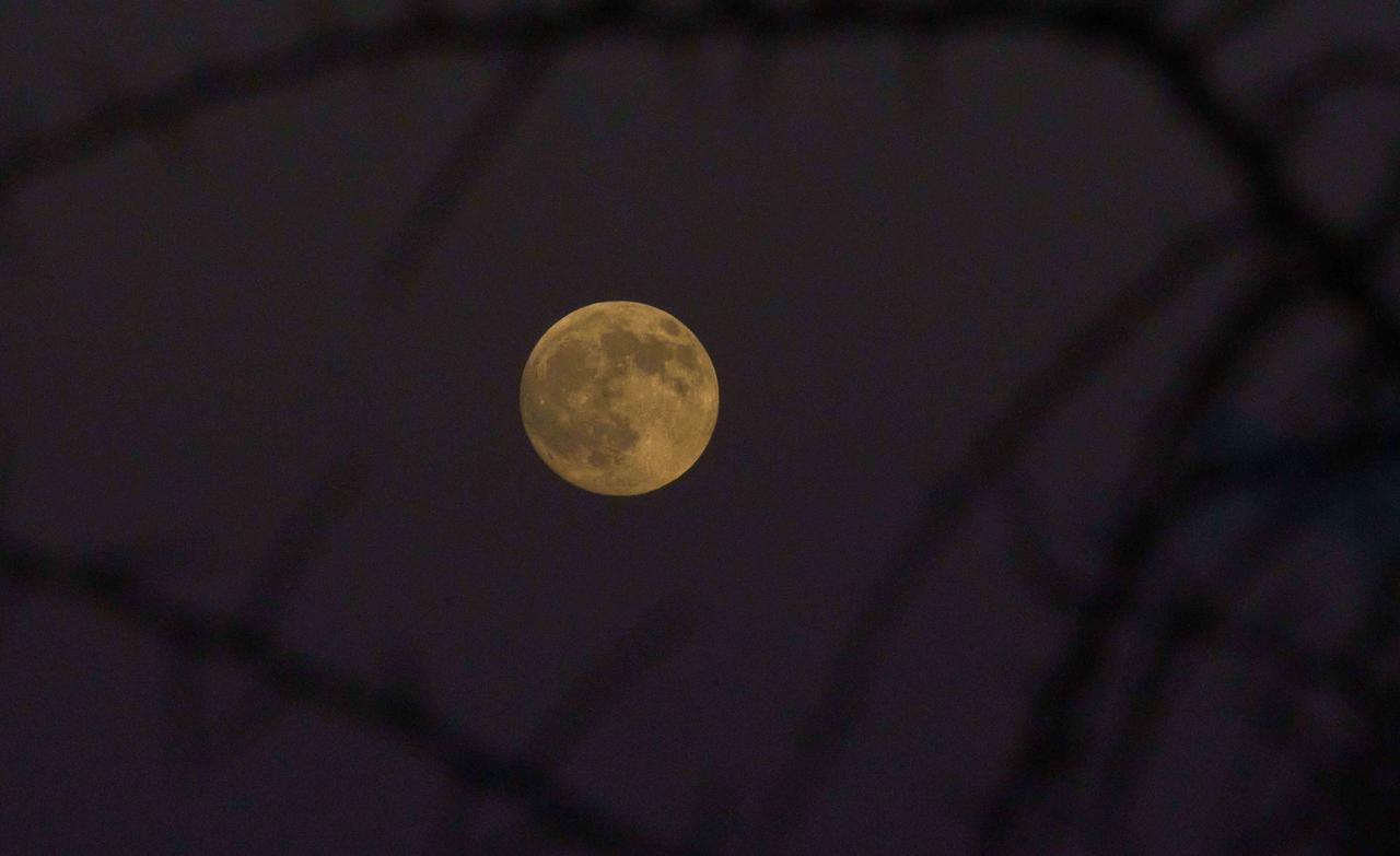 
	La Superluna del raccolto

