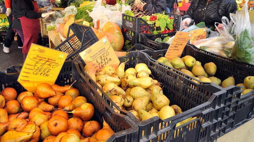 Export, a Lucca persi 22,7 milioni di euro per il settore agroalimentare
