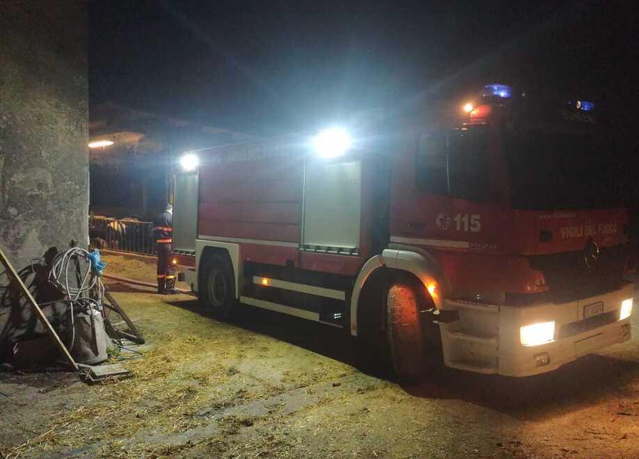 Stalle senz’acqua a Bondeno, 400 mucche salvate dai pompieri
