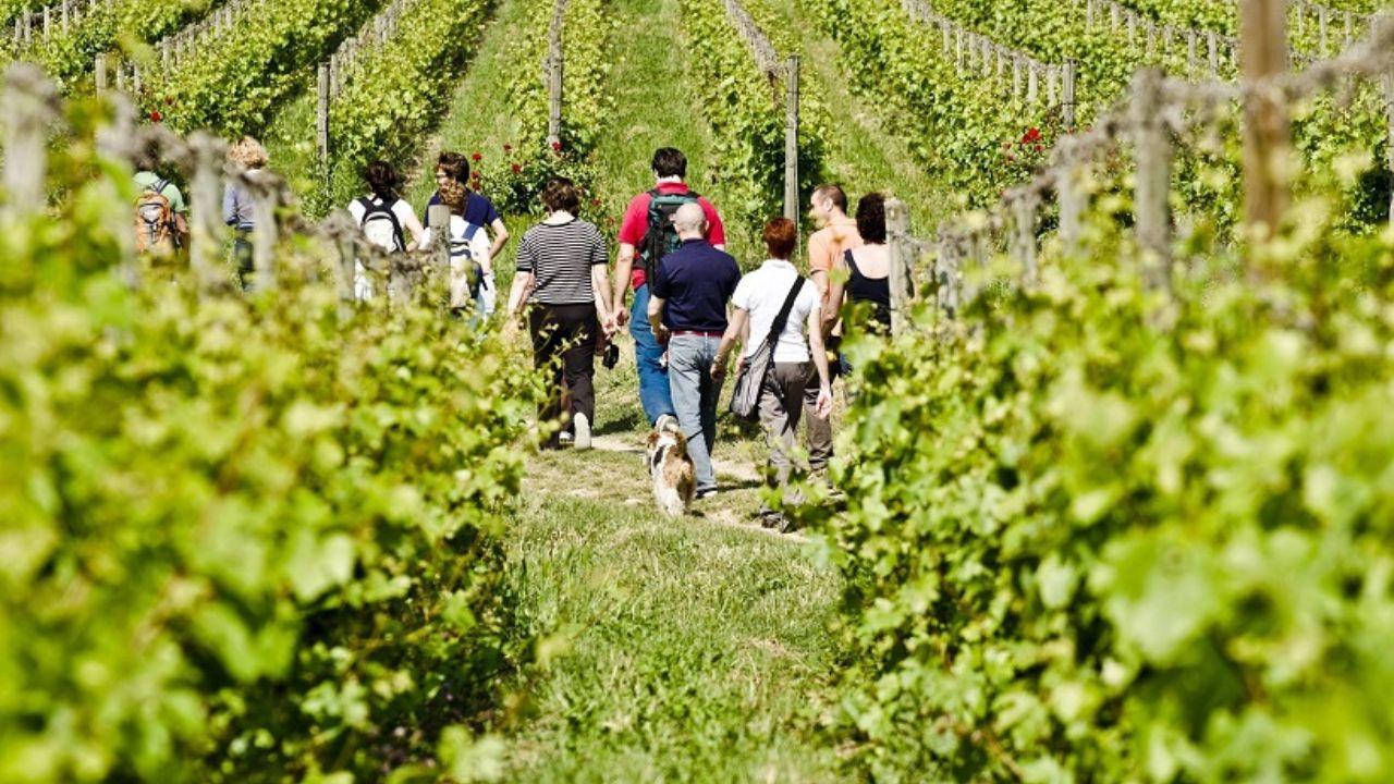 (foto di repertorio)