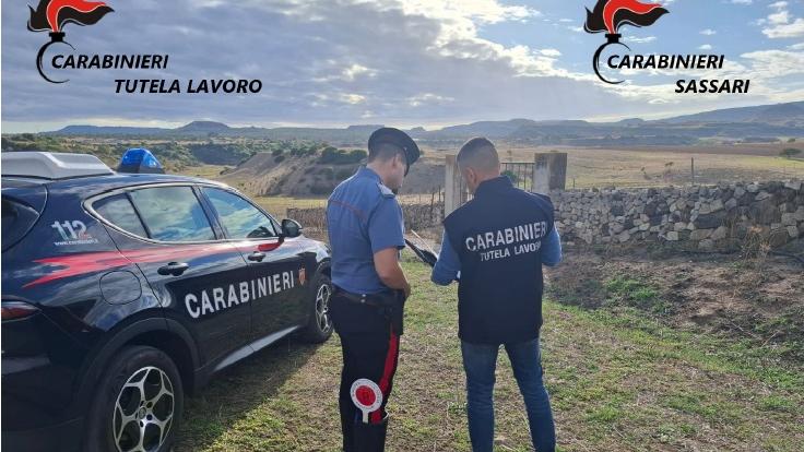 Sicurezza violata e lavoro nero: blitz dei carabinieri nel Sassarese