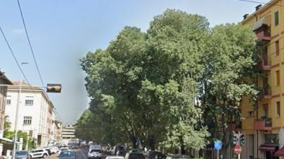 Donna aggredita in viale Storchi a Modena: salvata dagli studenti