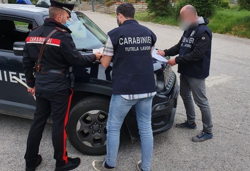 Lavoratori irregolari in azienda: denunciati due imprenditori agricoli