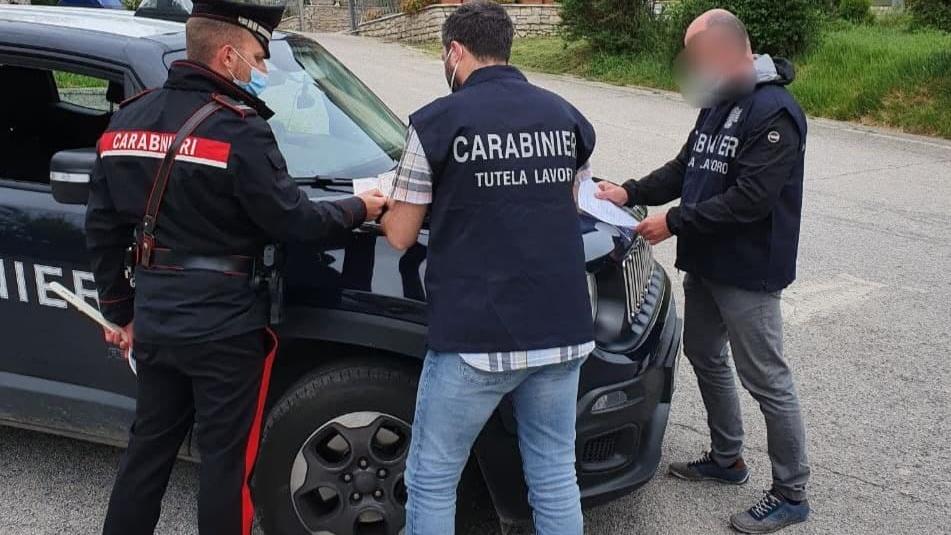 Lavoratori irregolari in azienda: denunciati due imprenditori agricoli