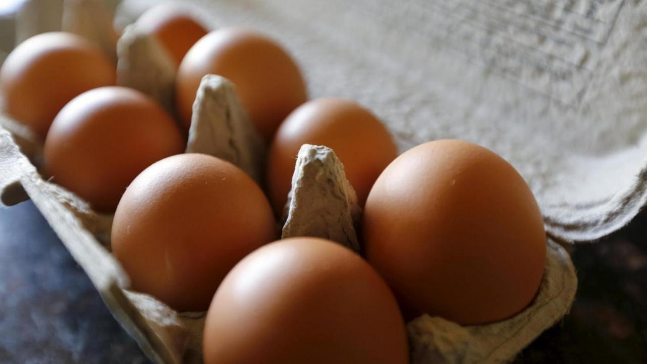 Salmonella, nell’isola tre casi e alcuni focolai: ecco i cibi a rischio