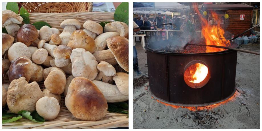 10 cose da fare a Reggio Emilia e provincia nel weekend dal 10 al 12 ottobre: fiere, feste e appuntamenti