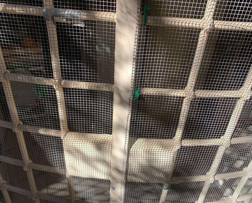 Grosseto, malviventi alla porta di casa messi in fuga dalla padrona