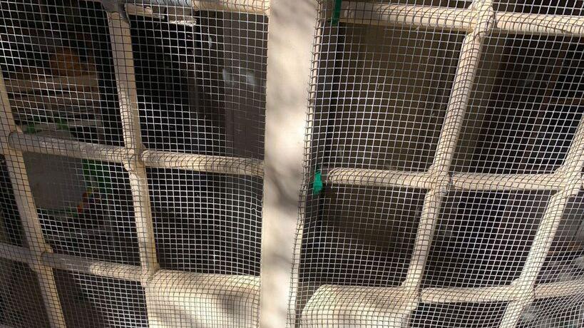 Grosseto, malviventi alla porta di casa messi in fuga dalla padrona