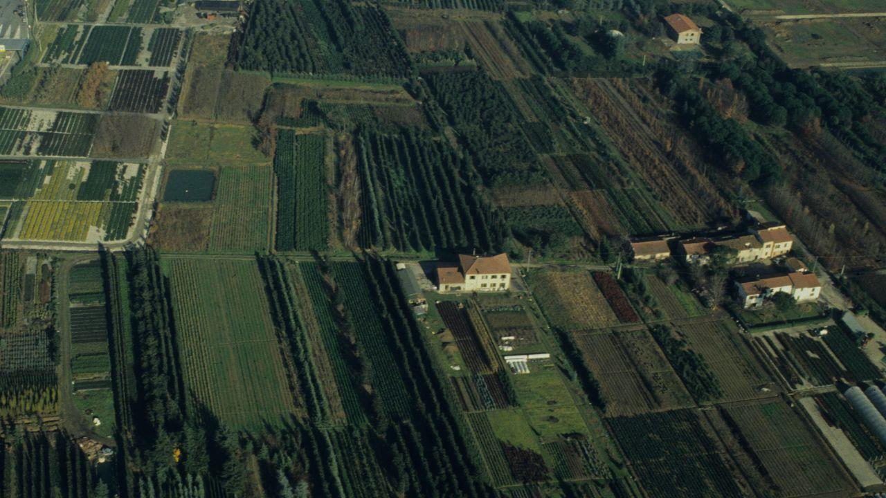 Una veduta dall'alto dei vivai di Pistoia (foto d'archivio)
