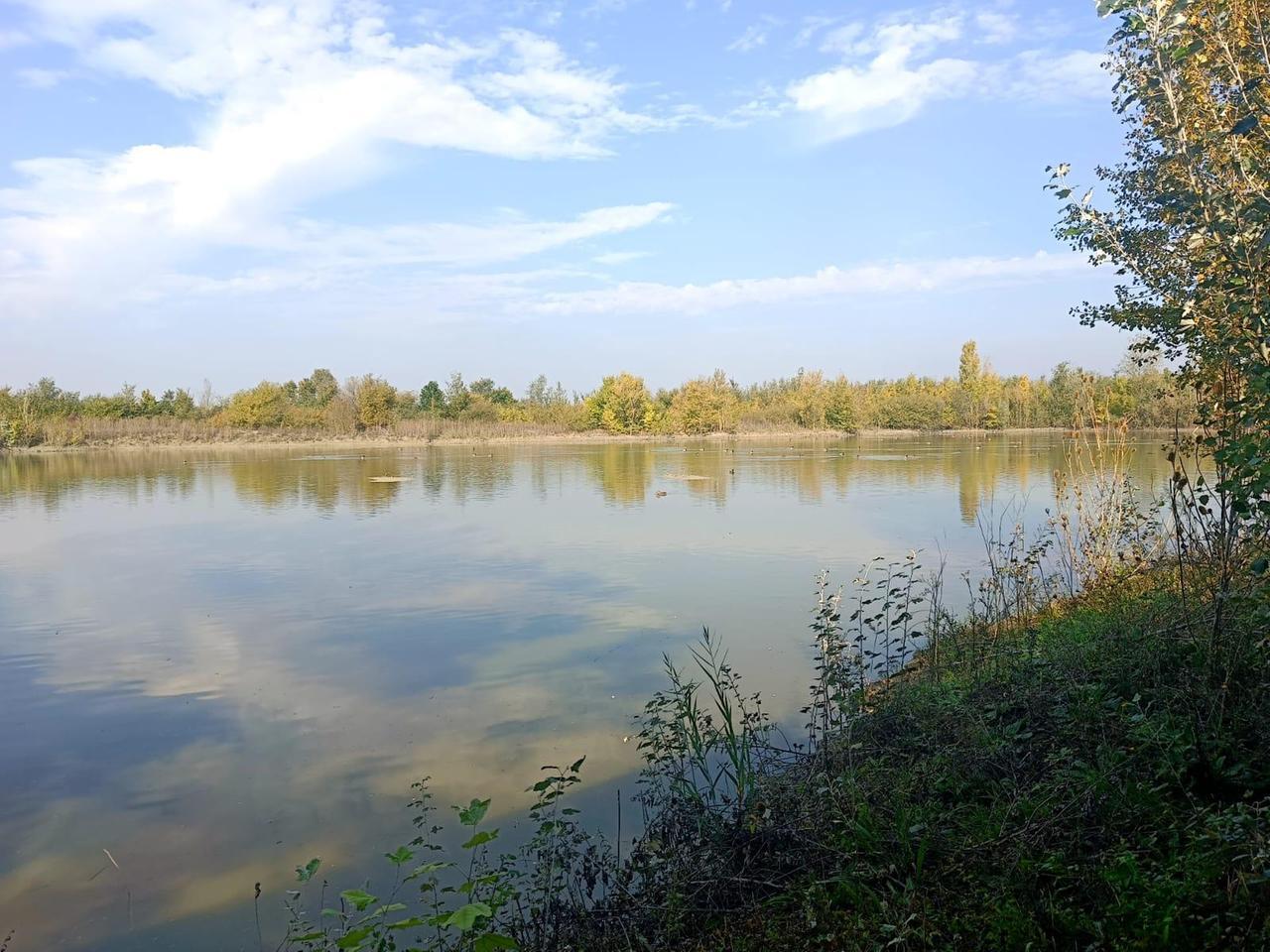 L’Oasi Lipu Celestina di Campagnola pronta a diventare riserva naturale regionale