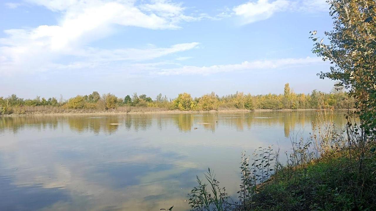 L’Oasi Lipu Celestina di Campagnola pronta a diventare riserva naturale regionale