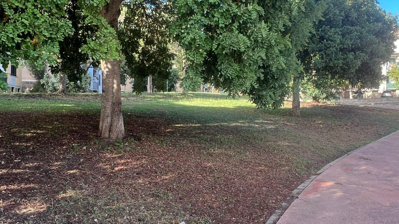 Uomo massacrato a Sassari, aperta un’inchiesta per tentato omicidio – Cosa sappiamo