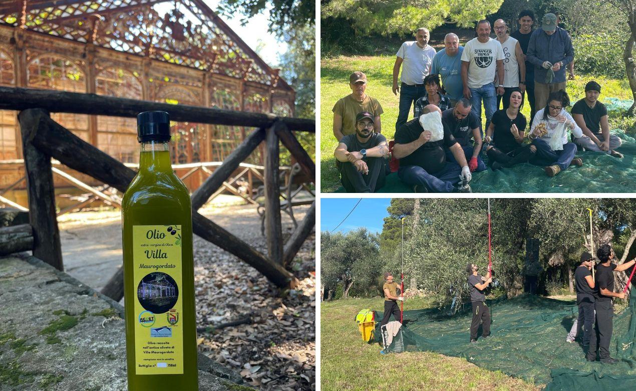 Dall’oliveta del ‘700 alla degustazione: a Livorno si celebra l'oro giallo di Villa Maurogordato