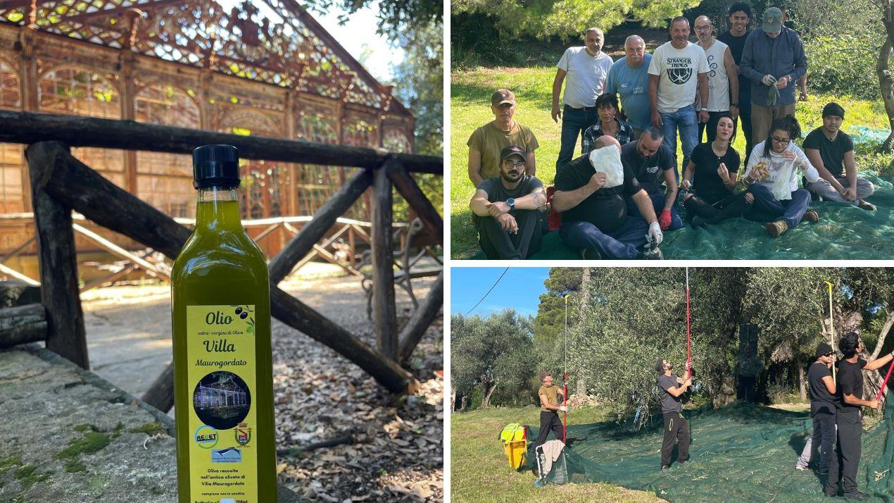 Dall’oliveta del ‘700 alla degustazione: a Livorno si celebra l'oro giallo di Villa Maurogordato