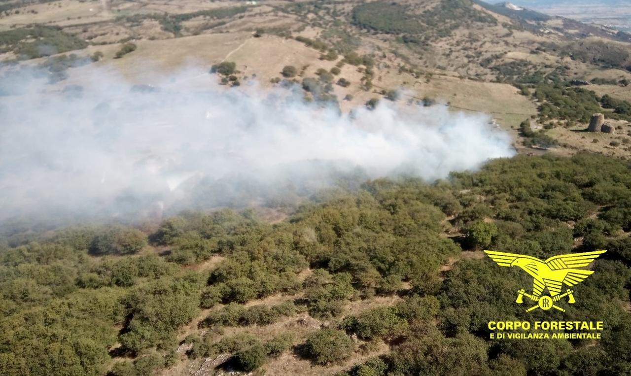 Giornata di fuoco in Sardegna: 28 incendi, tre con interventi aerei