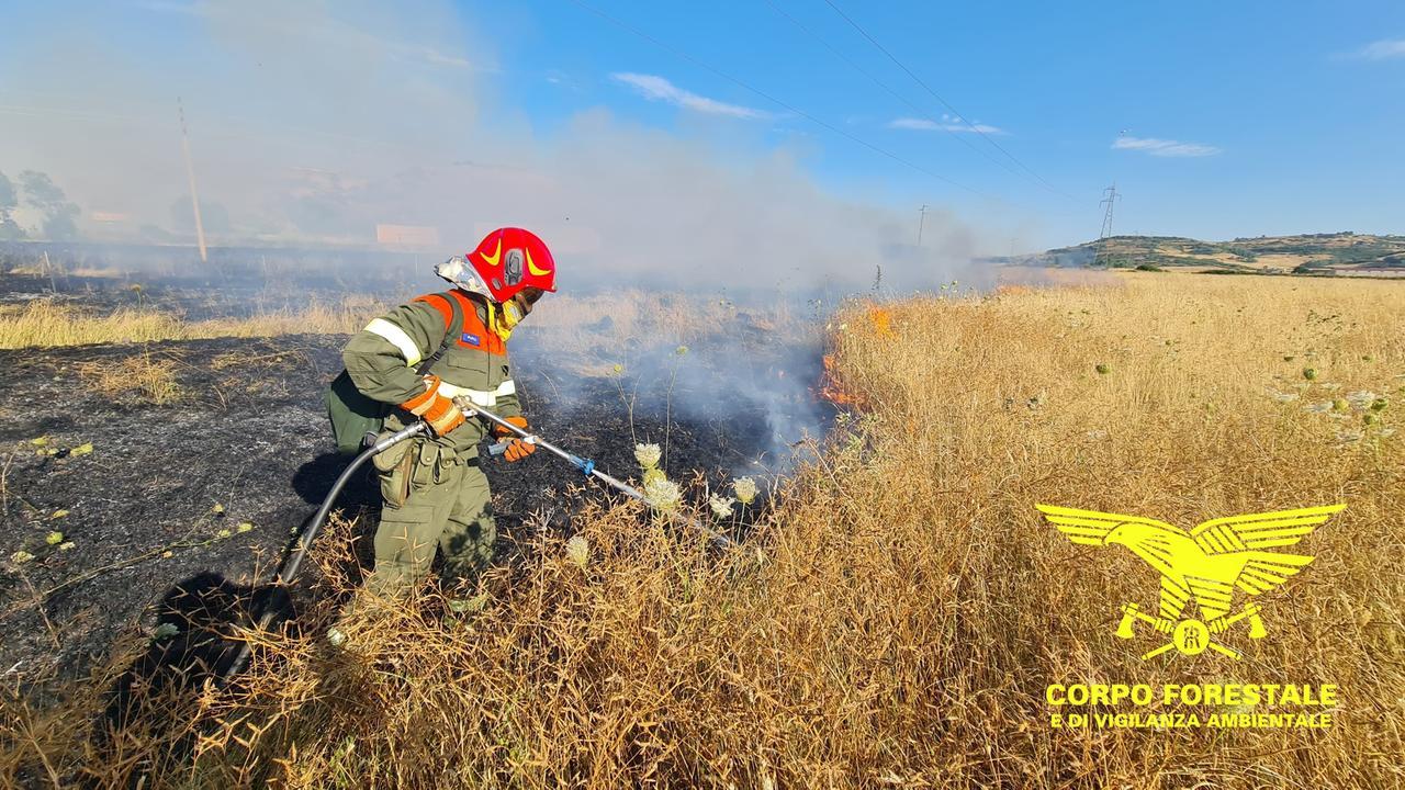Giornata di fiamme in Sardegna: 16 incendi, in fumo ettari di pascolo e aree agricole