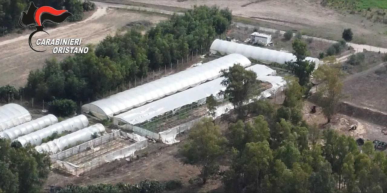 Droga dal Campidano al Nuorese: i primi nomi degli arrestati