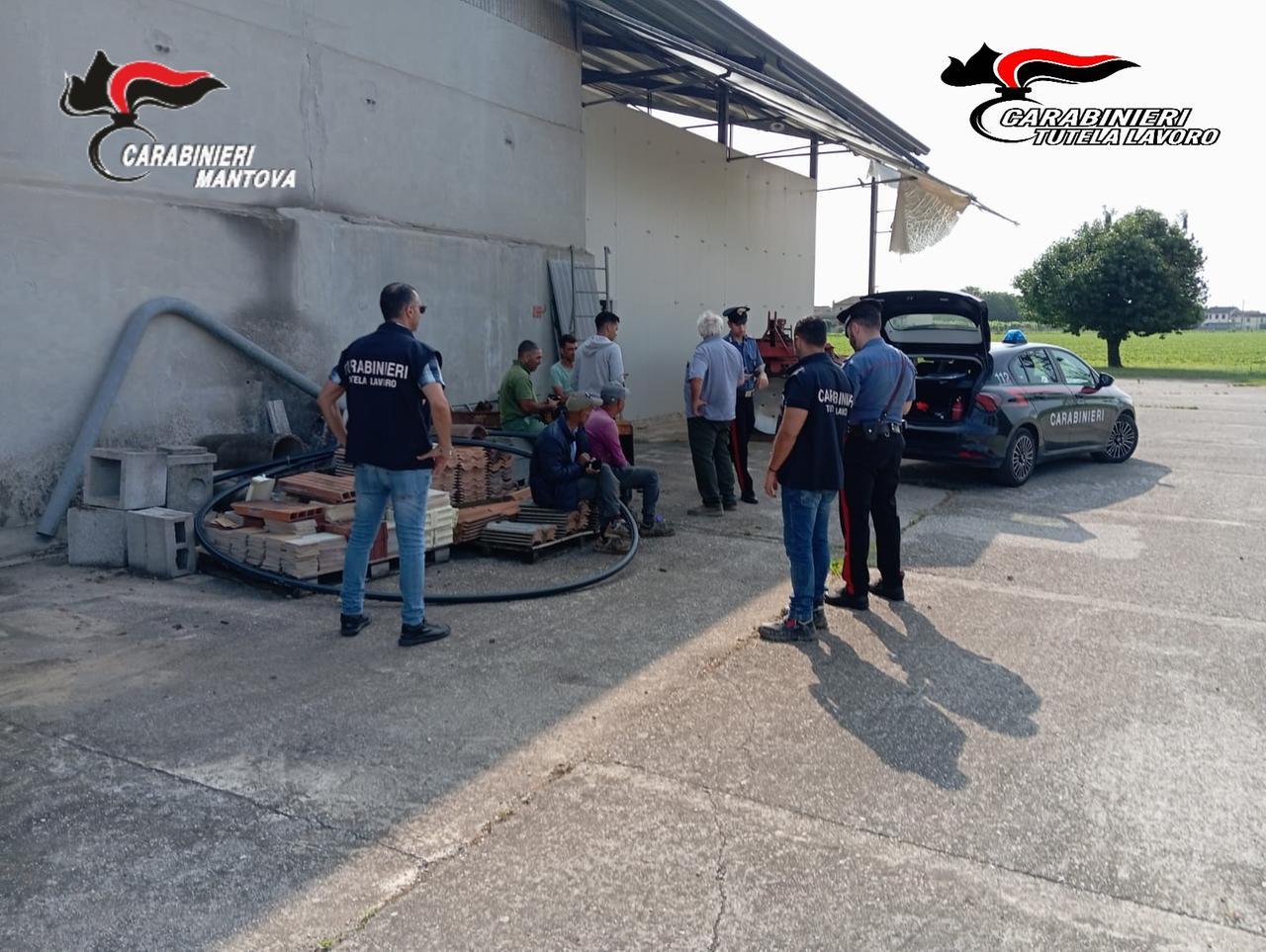 Caporalato, arresti e denunce. Le perquisizioni a Bondeno