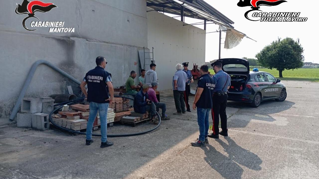 Caporalato, arresti e denunce. Le perquisizioni a Bondeno