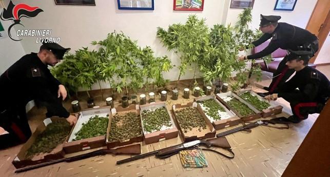 Campiglia, arrestato con 2 chili di droga