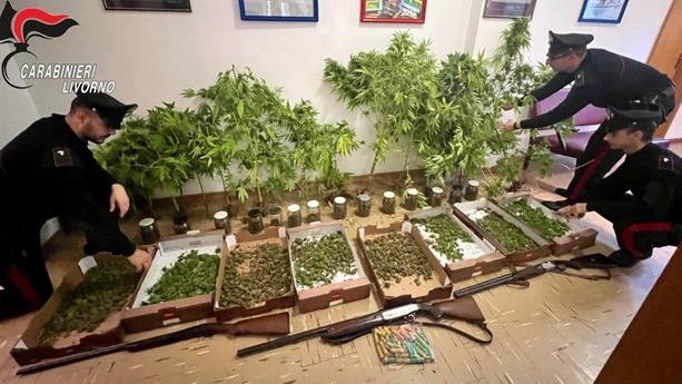 Campiglia, arrestato con 2 chili di droga