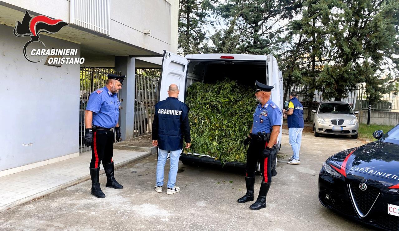 Quindici tonnellate di cannabis sequestrate in un mese: il giro di affari era milionario