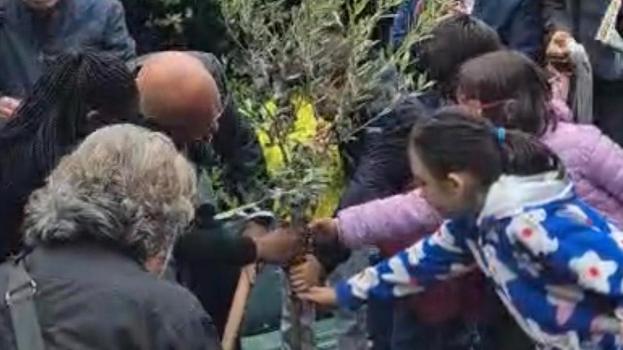 Sassari, i bambini di San Giuseppe piantano l’ulivo della pace