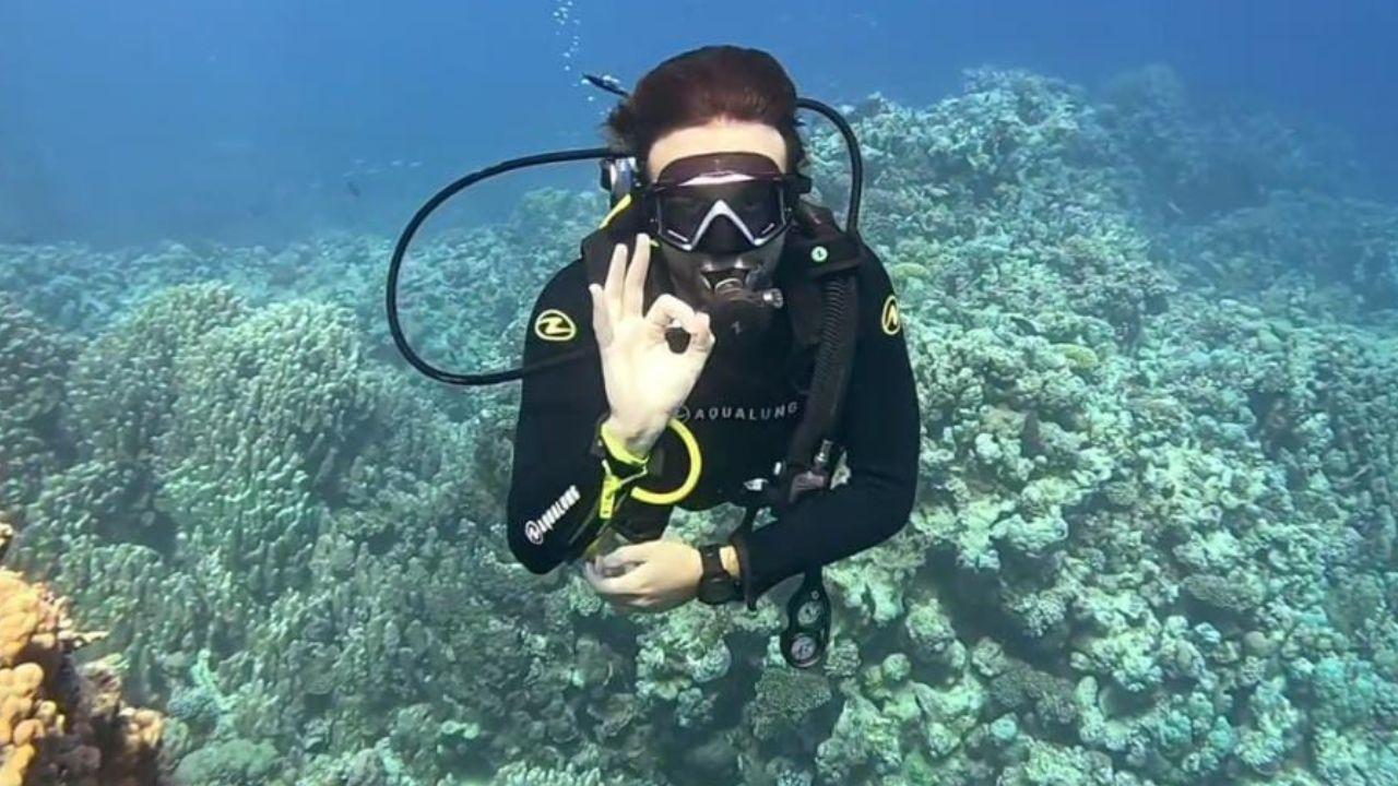 Danti durante un'immersione