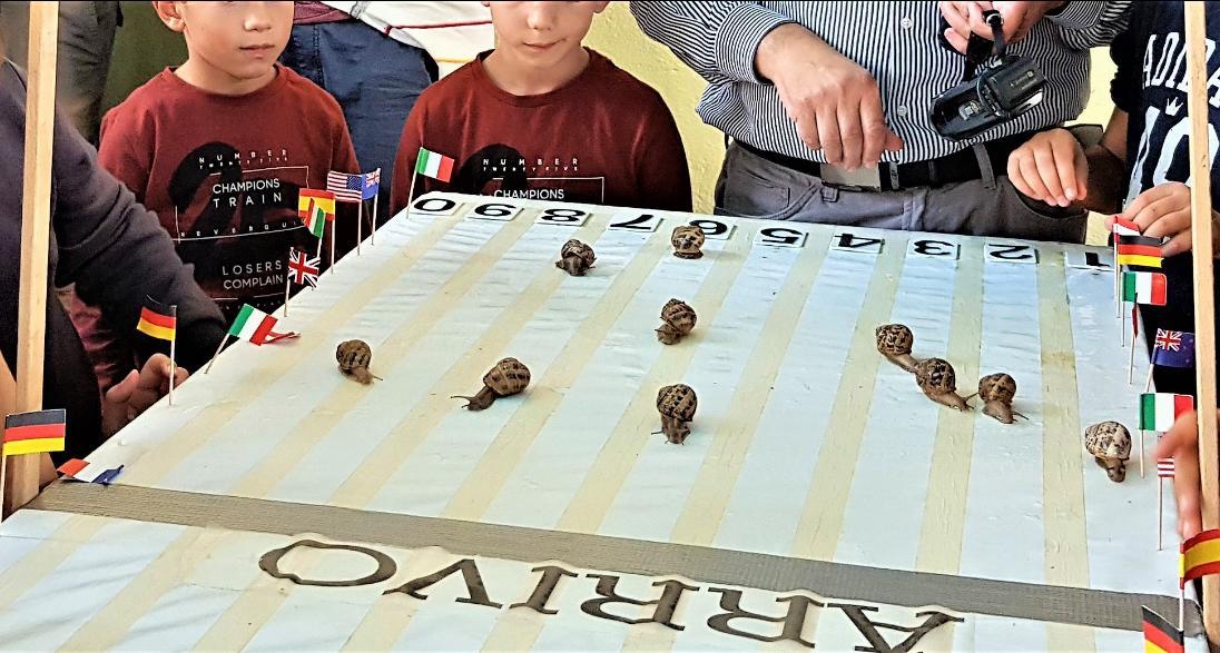 Enogastronomia, musica e folklore: a Gesico torna la Sagra della lumaca