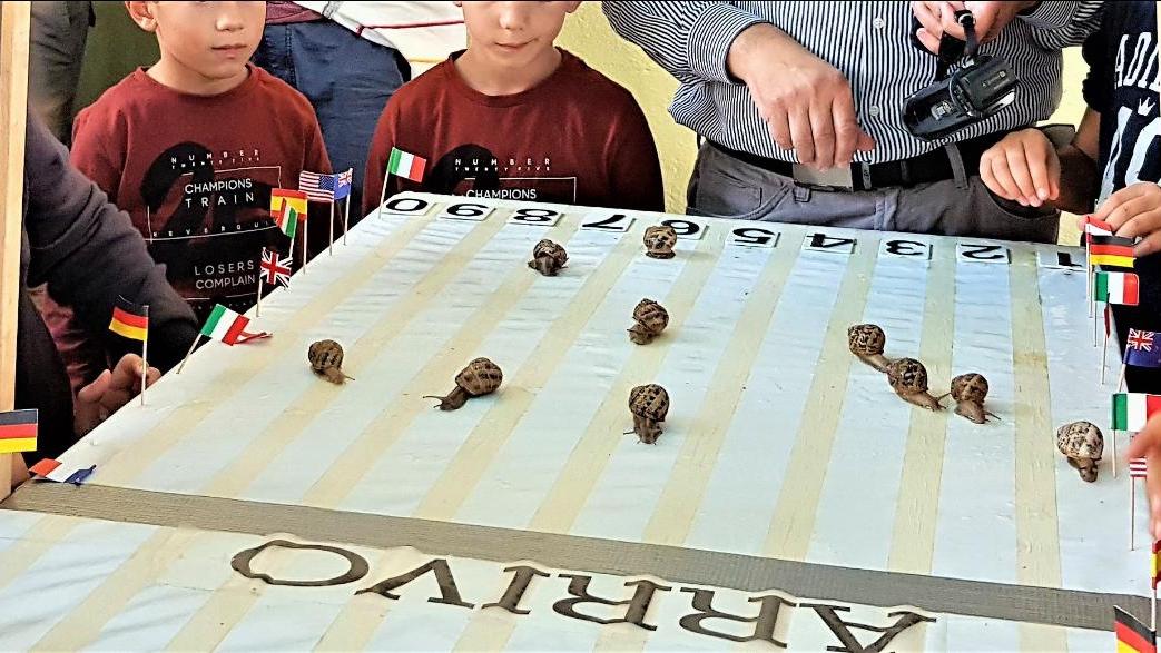 Enogastronomia, musica e folklore: a Gesico torna la Sagra della lumaca