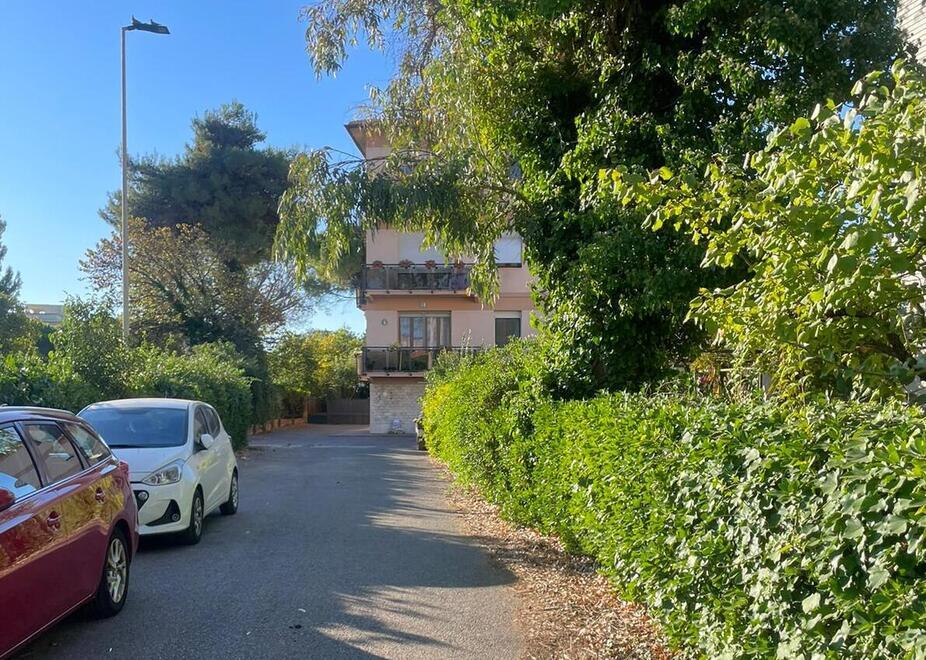 La zona dove è stato trovato
