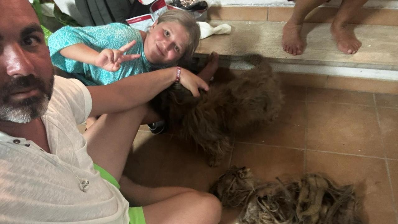 Il lungo viaggio di Gavino, il cane randagio affamato in Sardegna è stato adottato: ecco la storia a lieto fine