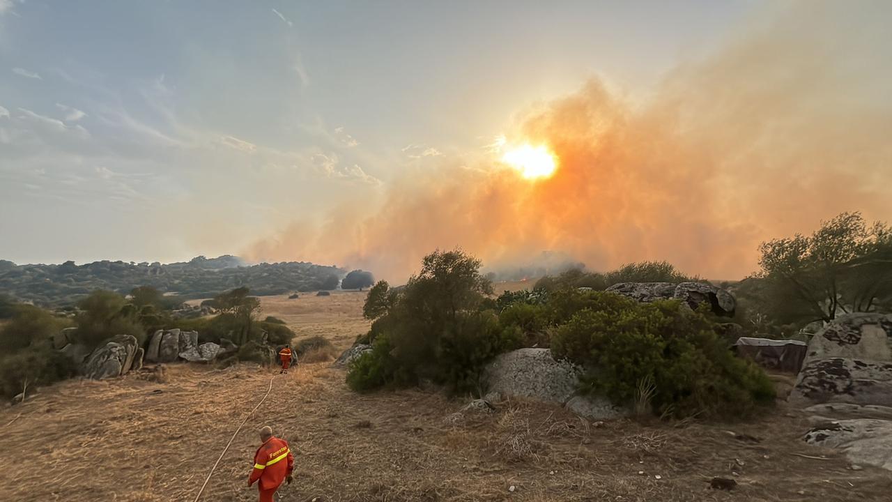 Operai di Forestas in azione