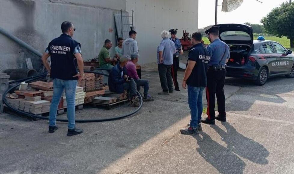 Caporalato, le proposte del Pd di Bondeno: «Più controlli ed inclusione»
