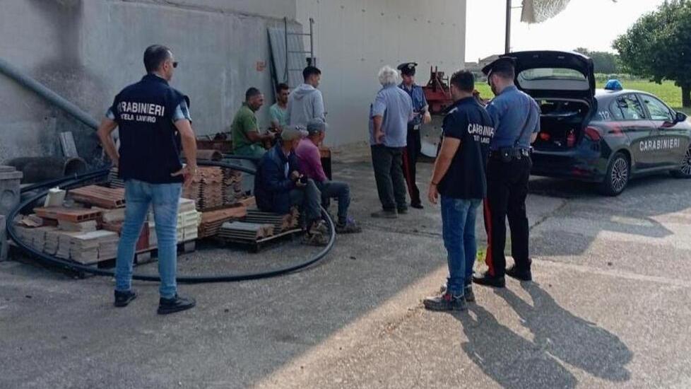 Caporalato, le proposte del Pd di Bondeno: «Più controlli ed inclusione»