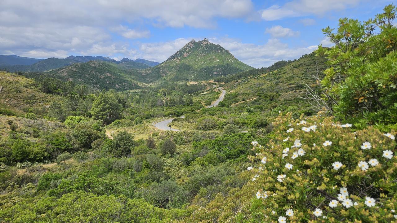 Foreste aperte nel parco Tepilora, si inizia domenica 26 ottobre con Bitti