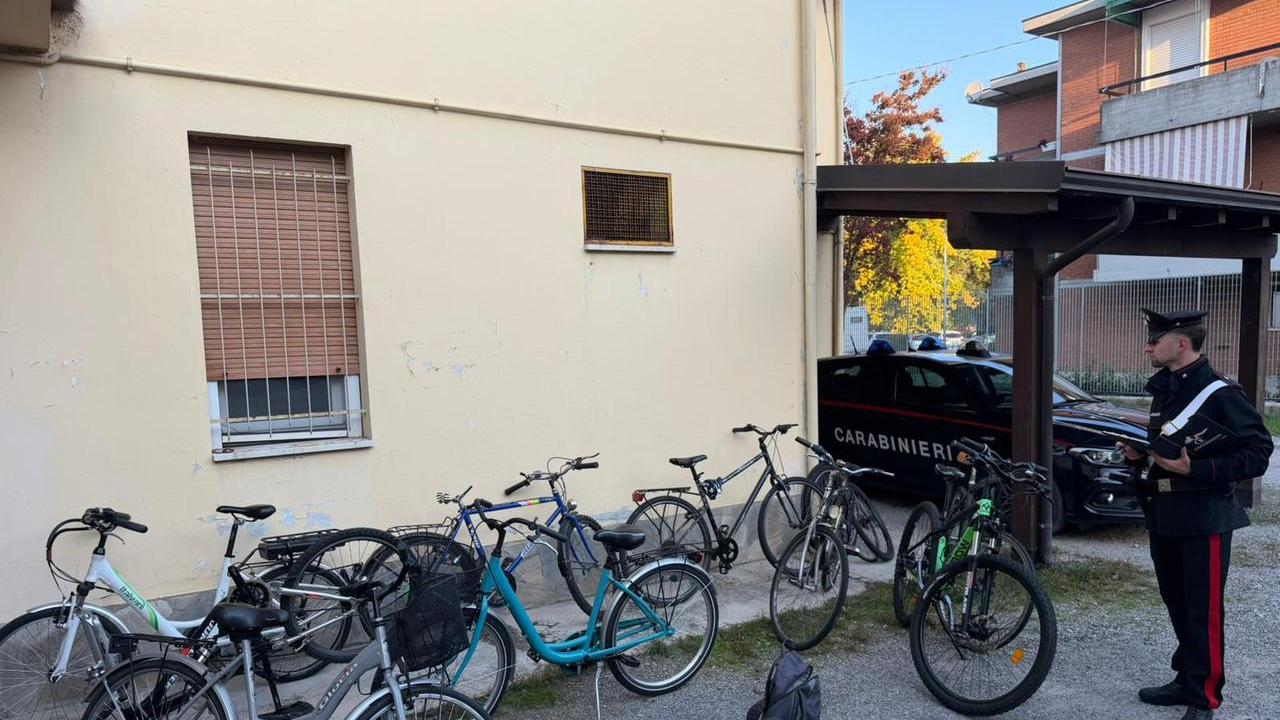 Cadelbosco, trovate nove biciclette rubate: ecco come fare per andare a vedere se c’è la propria
