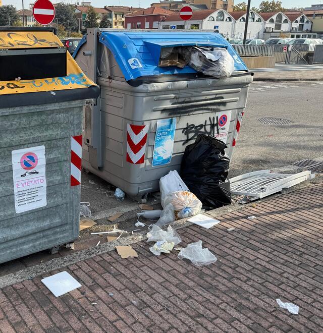 Ferrara, rifiuti in zona Darsena: «Servono più pulizia e sicurezza»