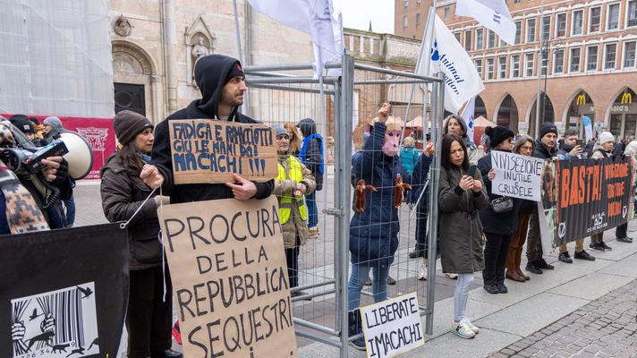 Macachi di Unife, la Cassazione ha deciso: non verranno sequestrati