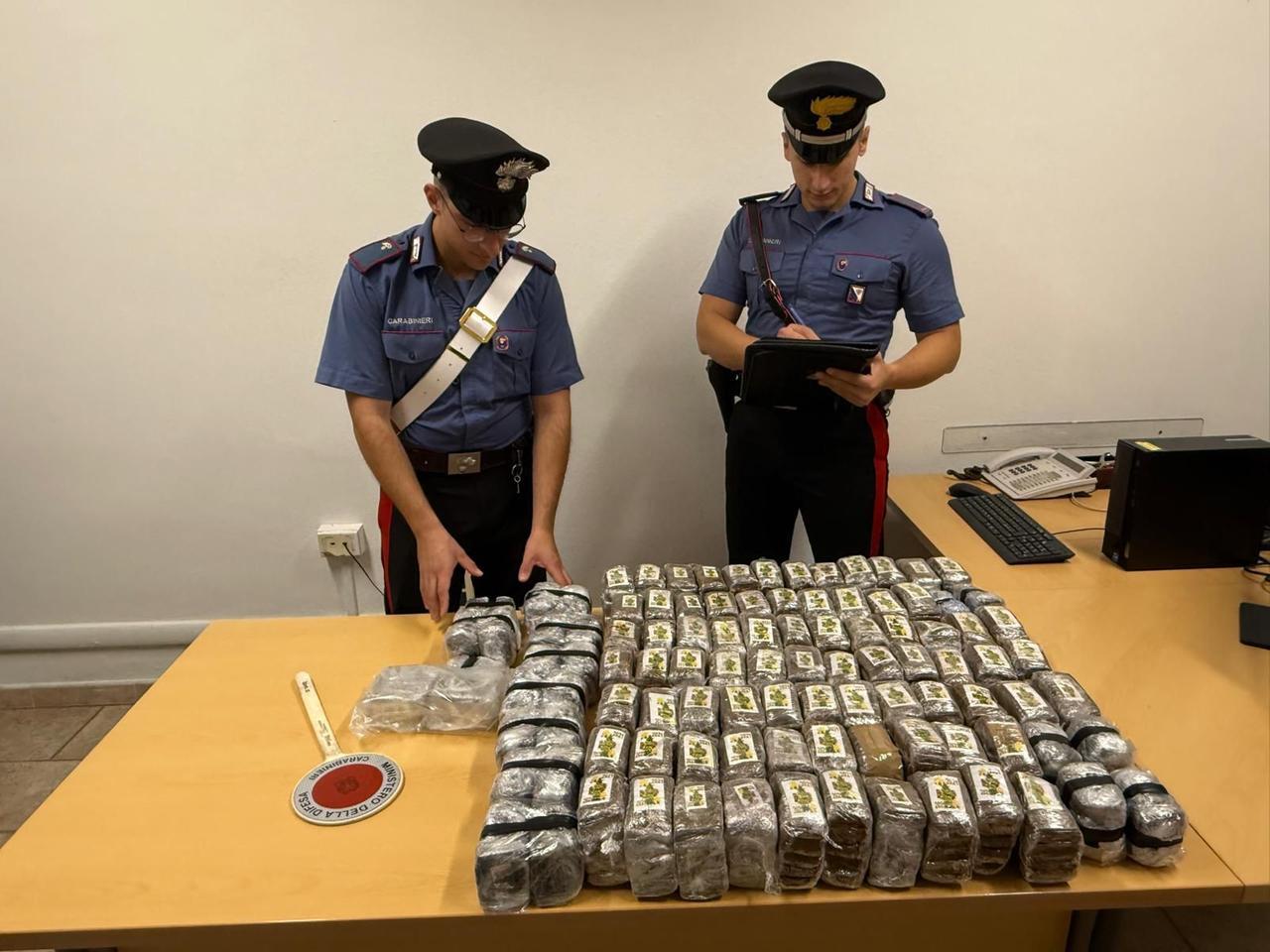 Blitz dei carabinieri in campagna: trovati 51 chili di hascisc sotto una quercia